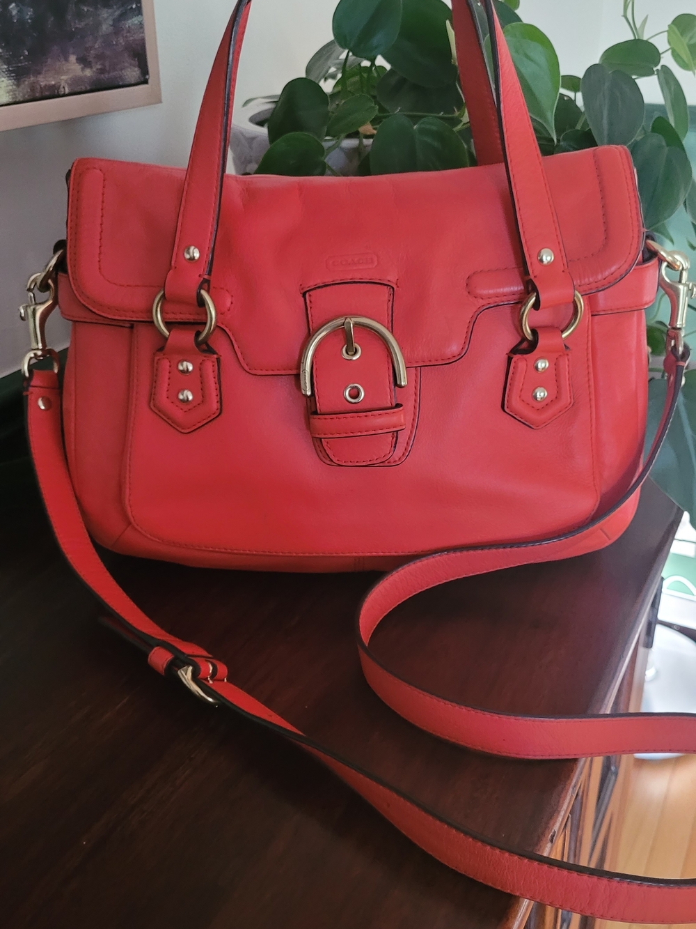 Coach Campbell Leather Crossbody Satchel Red/Orange/Coral